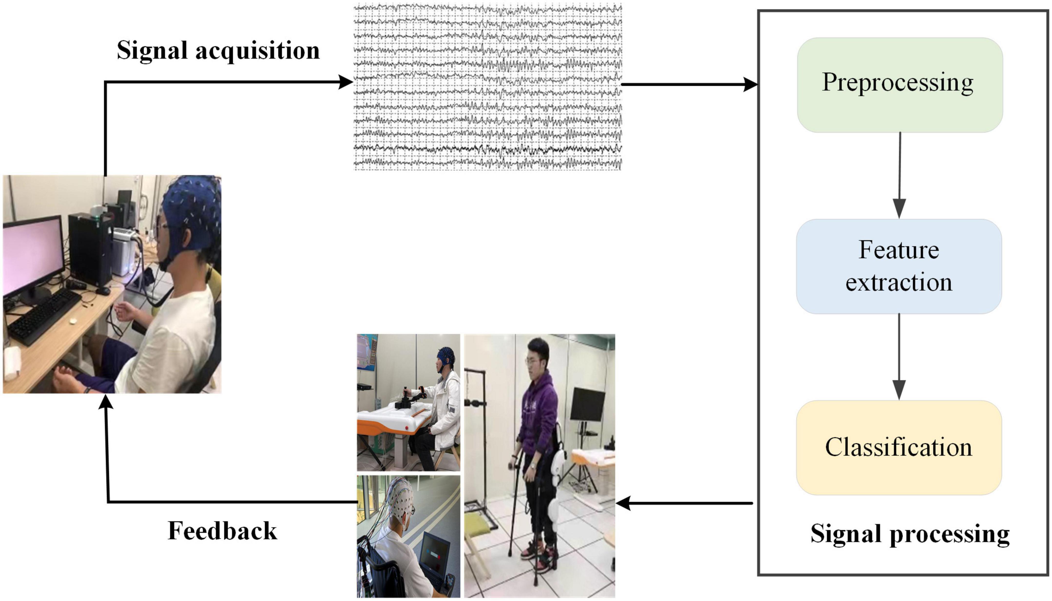 Coherence based graph convolution network for motor imagery-induced EEG after spinal cord injury